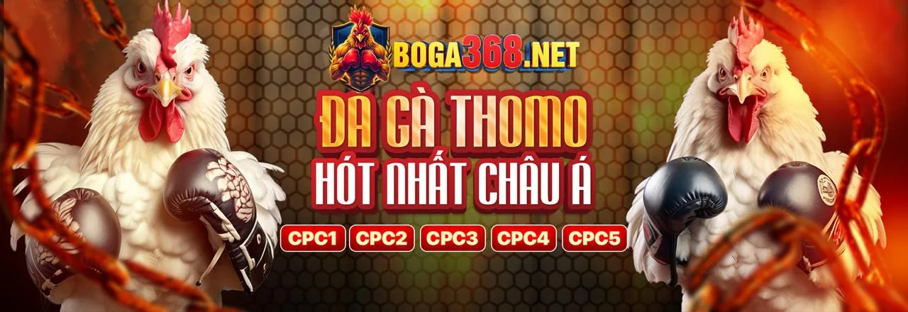 Blackjack – Đánh bại Dealer